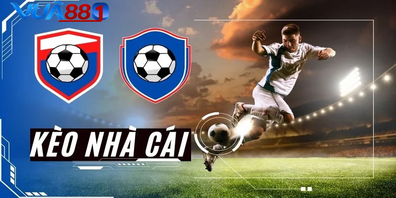 Đơn vị mang đến các dữ liệu soi kèo chuẩn xác, hữu ích