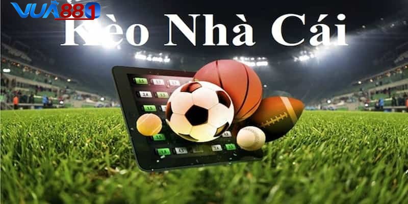 Thiết kế khoa học cho việc tiếp cận tìm kiếm thông tin dễ dàng