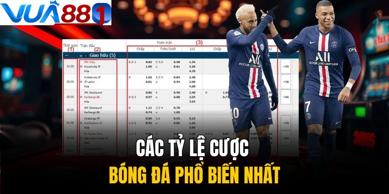 Các loại tỷ lệ cá cược bóng đá người chơi cần biết